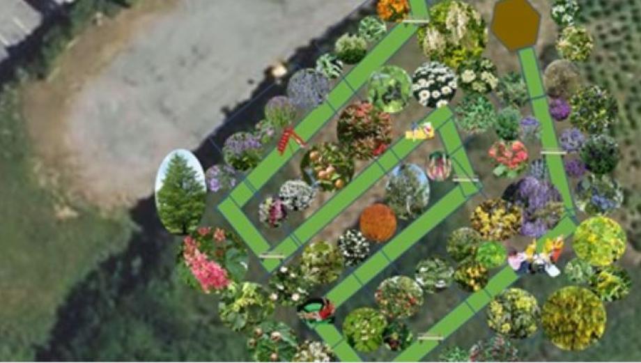 jardin
